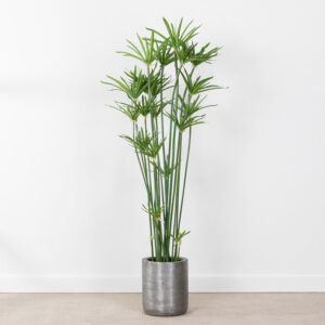 Faux Cypress Grass in Textured Cylinder Planter