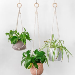 Long Hanging Plant Pot Holder